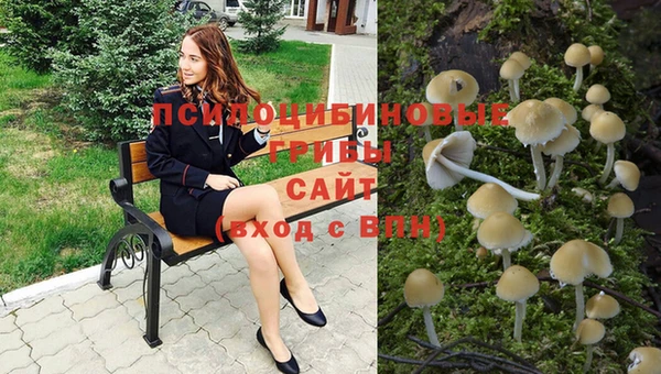 альфа пвп Володарск