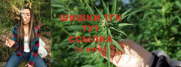 сатива Вязьма