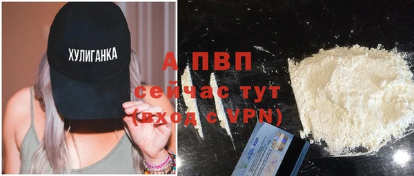 сатива Вязьма